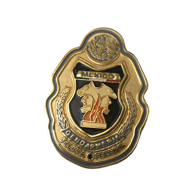 plcas-policia-1